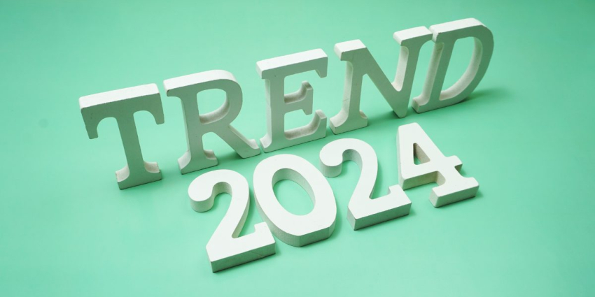 Algerian Design Trends in Branding